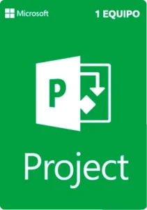 Microsoft - Project Professional 2019 - RETAIL